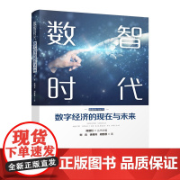 [正版]数智时代:数字经济的现在与未来 刘兵、徐精兵、胡胜著(系统地梳理数字经济发展体系框架和发展趋势)湖南人民出版社