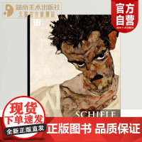 正版 西方绘画大师原作 席勒 油画册风景绘画 艺术印象派速写教材临摹色彩风景油画书籍 湖南美术出版社店
