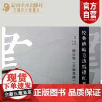 正版 经典碑帖毛边纸描红系列柳公权玄秘塔碑上书法汉字描红字帖笔画描红笔顺描红本原碑帖描红教程集字湖南美术出版社店