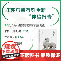 江苏六朝石刻保存现状调查 跟随文保工作者的脚步,遍览六朝石刻,传承千年石韵,开启石刻保护的科学之旅