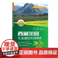 西藏茶园生态栽培实用图说 新时代乡村振兴丛书 茶产业助力乡村振兴新路径