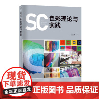 色彩理论与实践 色彩表现及深层次的理论内涵与呈现机制 教材教育参考专用书