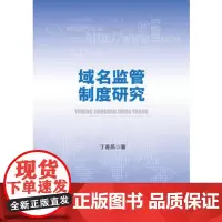 正版 域名监管制度研究 丁春燕著 9787562066729 中国政法大学出版社