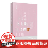 正版 大律所 林赛˙卡梅伦,孙林、段静 9787519706470 法律出版社