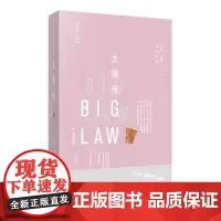 正版 大律所 林赛˙卡梅伦,孙林、段静 9787519706470 法律出版社