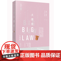 W 正版 大律所 (美)林赛˙卡梅伦著,孙林、段静译 法律出版社