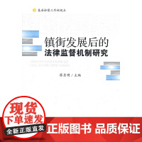 正版 基层检察工作新视点:镇街发展后的法律监督机制研究 廖东明 9787509332252 中国法制出版社