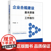 正版 企业合规建设基本原理与工作指引 宁虹超 著 法律出版社