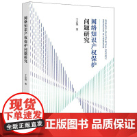 正版 网络知识产权保护问题研究 于志强 著 法律出版社