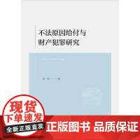 2024新书 不法原因给付与财产犯罪研究 黄辰 著 法律出版社