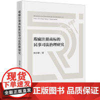 2024新书 瑕疵注册商标的民事司法治理研究 何卓律 著 法律出版社