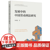 2024新书 发展中的中国劳动刑法研究 刘昭陵 著 法律出版社