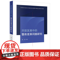 2024新书 开放发展中的警务变革问题研究 谢波 著 法律出版社