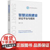 正版 智慧法院建设 诉讼平台与规则 冯洋 著 法律出版社