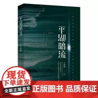 平湖暗流 王鸣隆 9787521618945