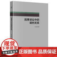 正版 民事诉讼中的调判关系 许少波 著 法律出版社