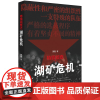 W正版 特情侦查之湖矿危机 黄磊著 法律出版社