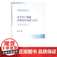 正版 安全生产领域渎职犯罪侦破与认定 陈波 9787510216411 中国检察出版社