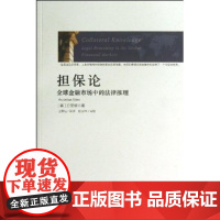 担保论:全球金融市场中的法律推理