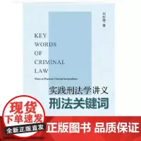 正版 实践刑法学讲义刑法关键词 刘树德著 北京大学出版社 9787301249161