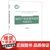 正版 知识产权法域外适用问题研究 张怀印 著 法律出版社 cy