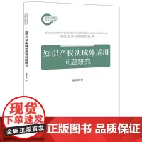 正版 知识产权法域外适用问题研究 张怀印 著 法律出版社 cy