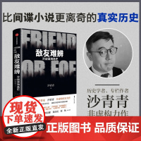 敌友难辨 冷战谍海逸史 沙青青著 中信正版