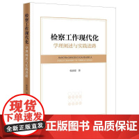 正版 检察工作现代化 学理阐述与实践进路 韩彦霞 著 法律出版社