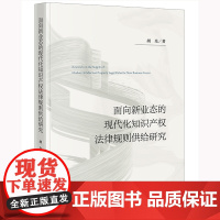 2024新书 面向新业态的现代化知识产权法律规则供给研究 胡光 著 法律出版社