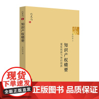 2024重印本 知识产权精要 制度创新与知识创新 吴汉东 著 法律出版社