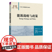 正版新书 能源战略与政策 崔树银 汪昕杰 谈淑娟 崔璨 清华大学出版社 能源 战略 政策