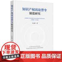 2024新书 知识产权诉讼禁令制度研究 牛正浩 著 法律出版社