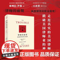 2024新书 律师的麻烦 美国律师的职业困境 [美] 德博拉·罗德 著 王进喜 译 北京大学出版社 9787301347