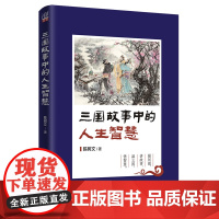 清华正版 三国故事中的人生智慧 清华大学出版社 陈树文 三国演义 谋略 研究 三国故事 人生智慧