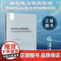 2024新书 新型电力系统构建 市场化政策法律保障研究 冯华 李庆保主编 法律出版社
