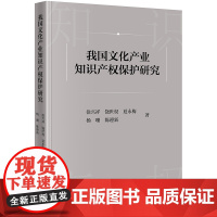 正版 我国文化产业知识产权保护研究 徐兴祥 饶世权 夏永梅 杨珊 陈迎新 著 法律出版社
