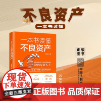 正版 一本书读懂不良资产 石佳华 著 中国法制出版社 9787521626964