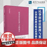 正版 民事诉讼法原理与案例课堂 张华 主编 知识产权出版社 9787513080057