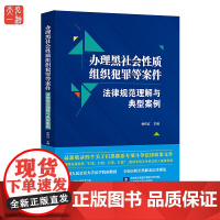 正版 办理黑社会性质组织犯罪等案件 法律规范理解与典型案例 徐伟红著 收录四个关于扫黑除恶专项斗争法律政策文件法制出版社