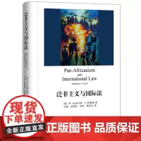 D 泛非主义与国际法 阿卜杜勒卡维 法律出版社 非洲联盟体制下的泛非主义 法学理论