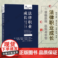 正版 法律职业成长 训练机构 机遇与申请 第2版增补本 〔德〕托尔斯滕 维斯拉格 北京大学出版社