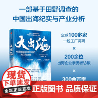大出海 林雪萍著 中国出海纪实与产业分析 供应链攻防战 中信正版