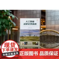 2024新书 人工智能法律实务指南 狄乐达 法律出版社