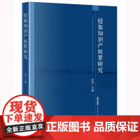 2025新书 侵犯知识产权罪研究 皮勇 主编 法律出版社