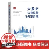 2024新书 大数据法律监督与类案治理 叶伟忠 主编 中国检察出版社 9787510230677
