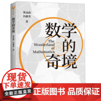 正版新书 数学的奇境 数学之美 代数 几何 初中数学 高中数学 清华大学出版社 数学 科普