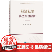 2024新书 经济犯罪典型案例解析 沙莎 王建聪 著 知识产权出版社 9787513094740