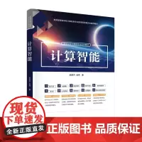 清华正版 计算智能 陈丽芳 侯伟 清华大学出版社 计算智能,人工智能,大数据