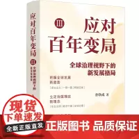 2025新书 应对百年变局 Ⅲ 全球治理视野下的新发展格局 孙铁成 著 中国法治出版社 9787521649567