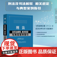 2024新版 刑法及司法解释汇编(含指导案例)第二版2版 金牌汇编系列 中国法制出版社 9787521641028